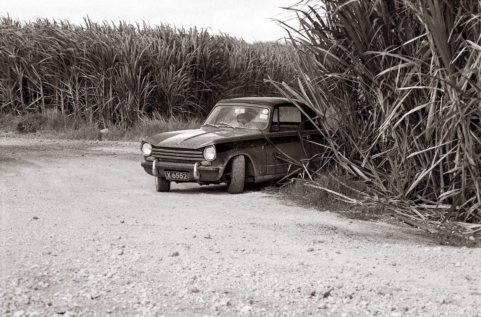 1978 dec 10 richard roett ms174 11 sepia