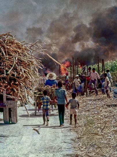 Children follow a donkey cart as a cane fire erupts near a harvest area