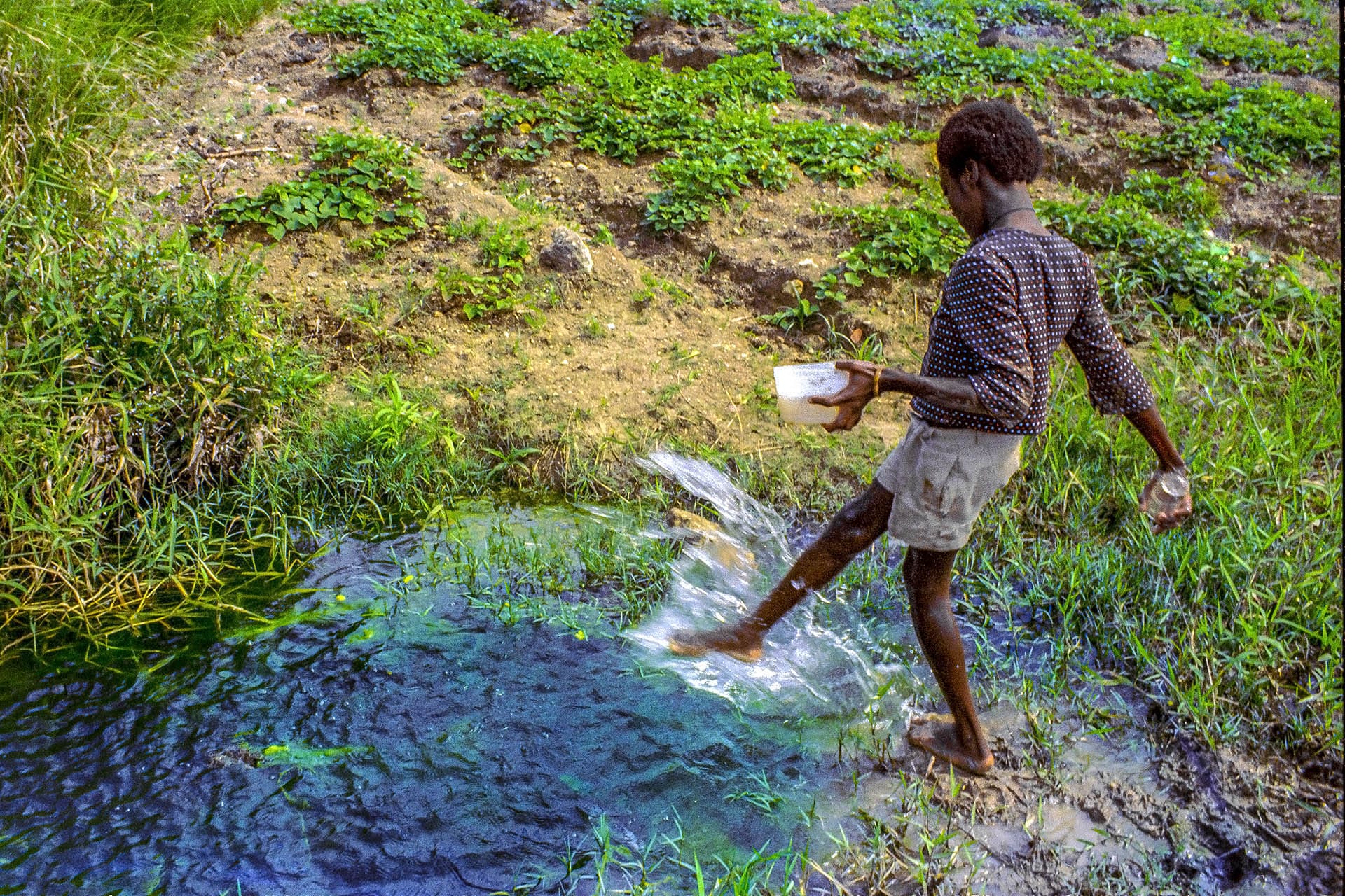 Fishing for mollies, Mt Wilton Plnt, 1971 mp17-711222-12