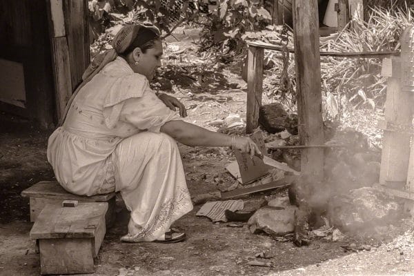 Mariam Piprawala Roast a Breadfruit h3-04-09