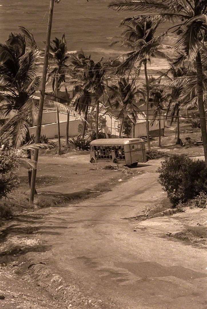 Home Cures of Barbados
