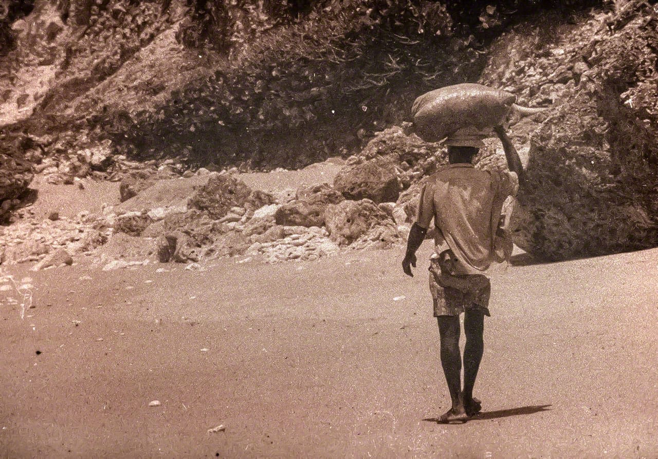 Home Cures of Barbados