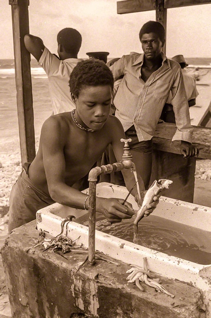 Home Cures of Barbados