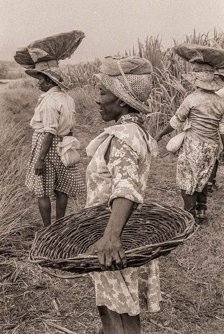 Ladies of the Land - Sugar workers at Easy Hall - 1980 Bds-44