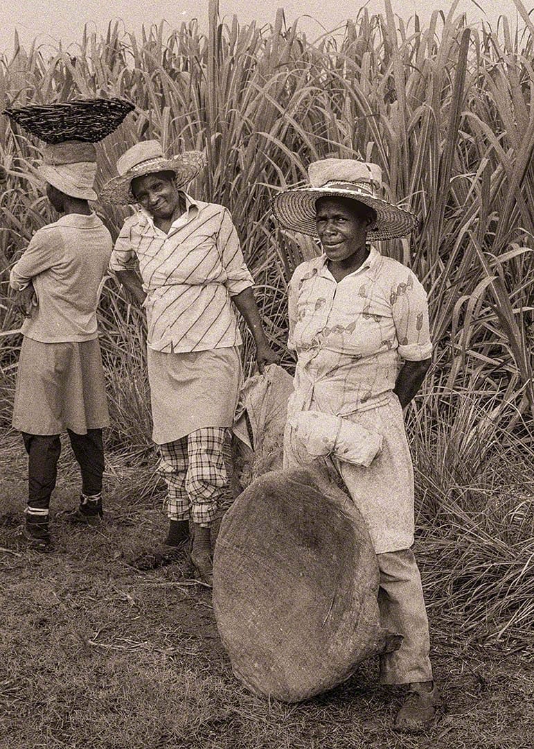 Ladies of the Land - Sugar workers at Easy Hall - 1980 Bds-44-05