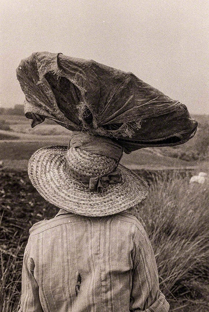 Ladies of the Land - Sugar workers at Easy Hall - 1980 Bds-44-07