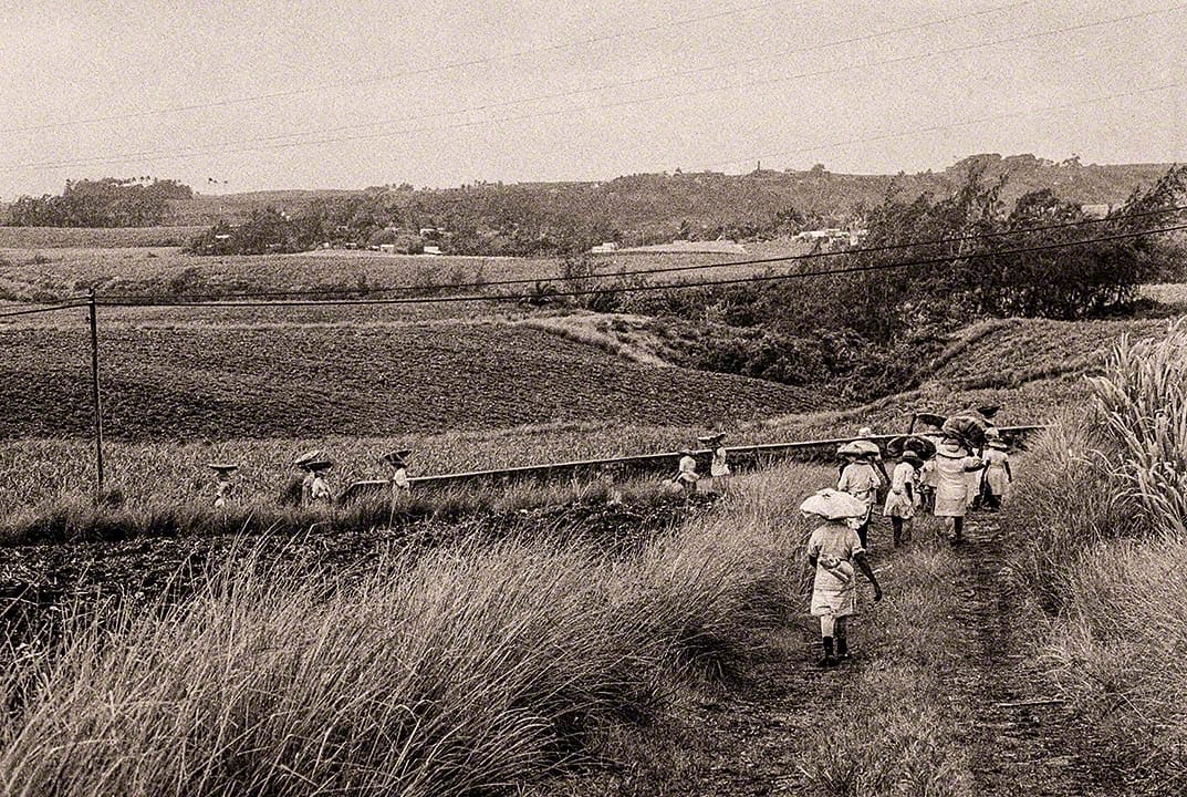 Sugar Workers at Easy Hall - 1980-bds44-14