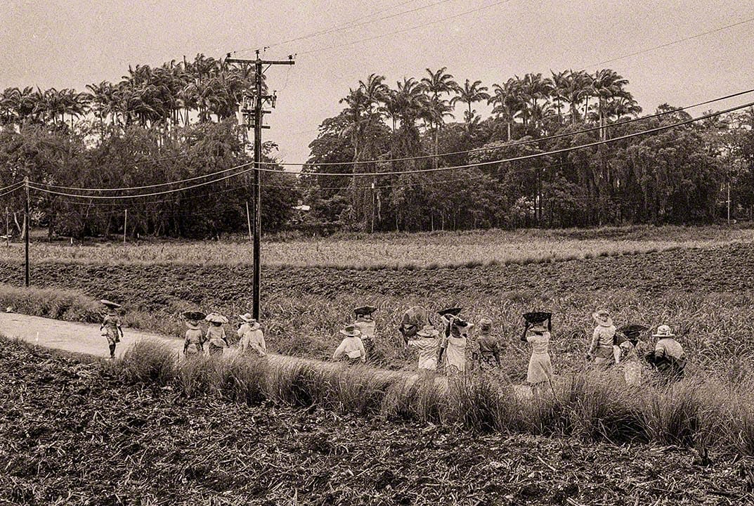Sugar Workers at Easy Hall - 1980-bds44-15