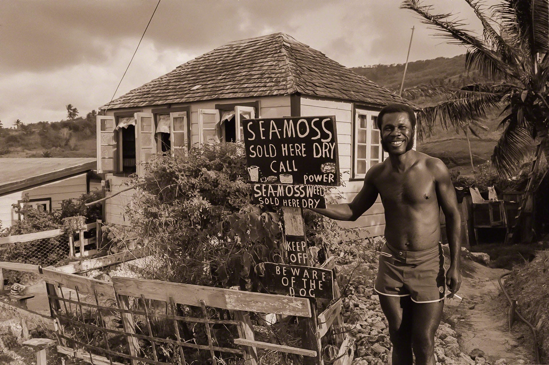 Leon Thorpe, Seamoss Entrepreneur, Cleaver's Hill, Bathsheba June 1976