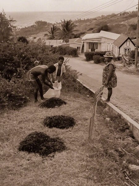 Leon Thorpe & Family, Seamoss Entrepreneur, Cleaver's Hill, Bathsheba 06-1976-h2-01-32-sepia