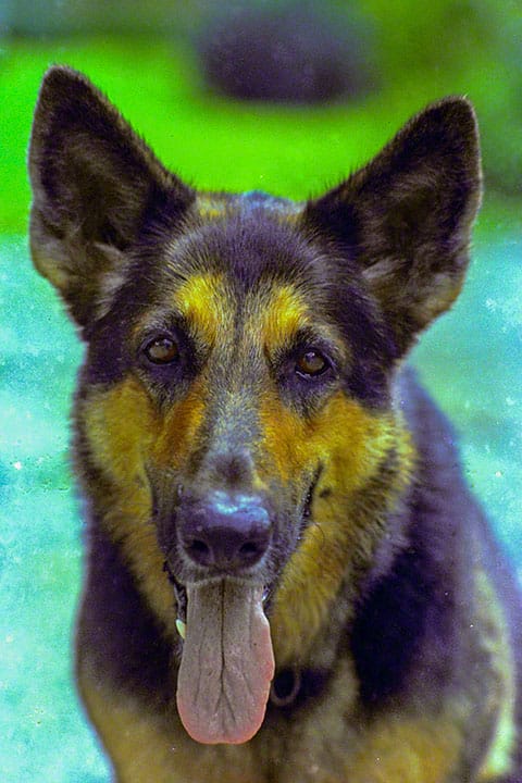 mp14 721218 jan 0021