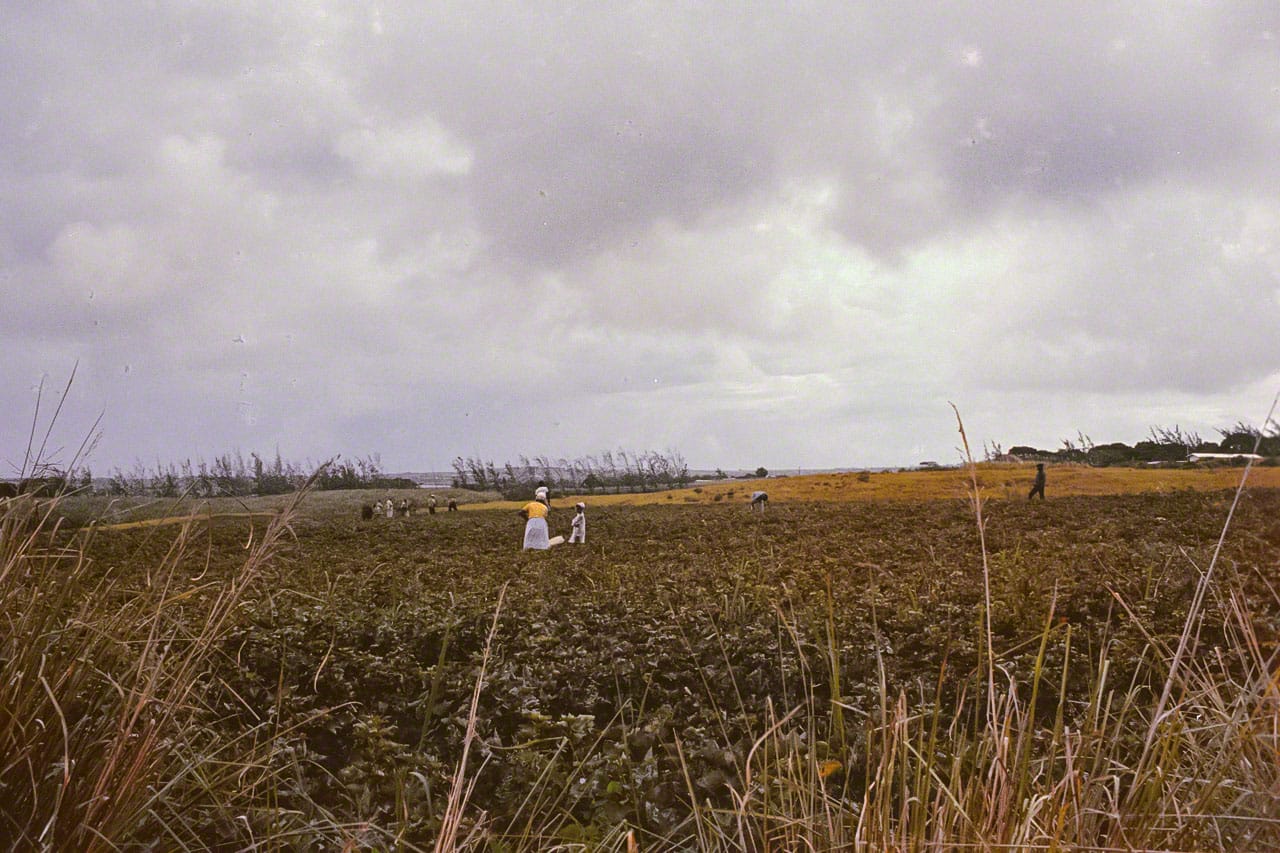 mp23 721229 0015