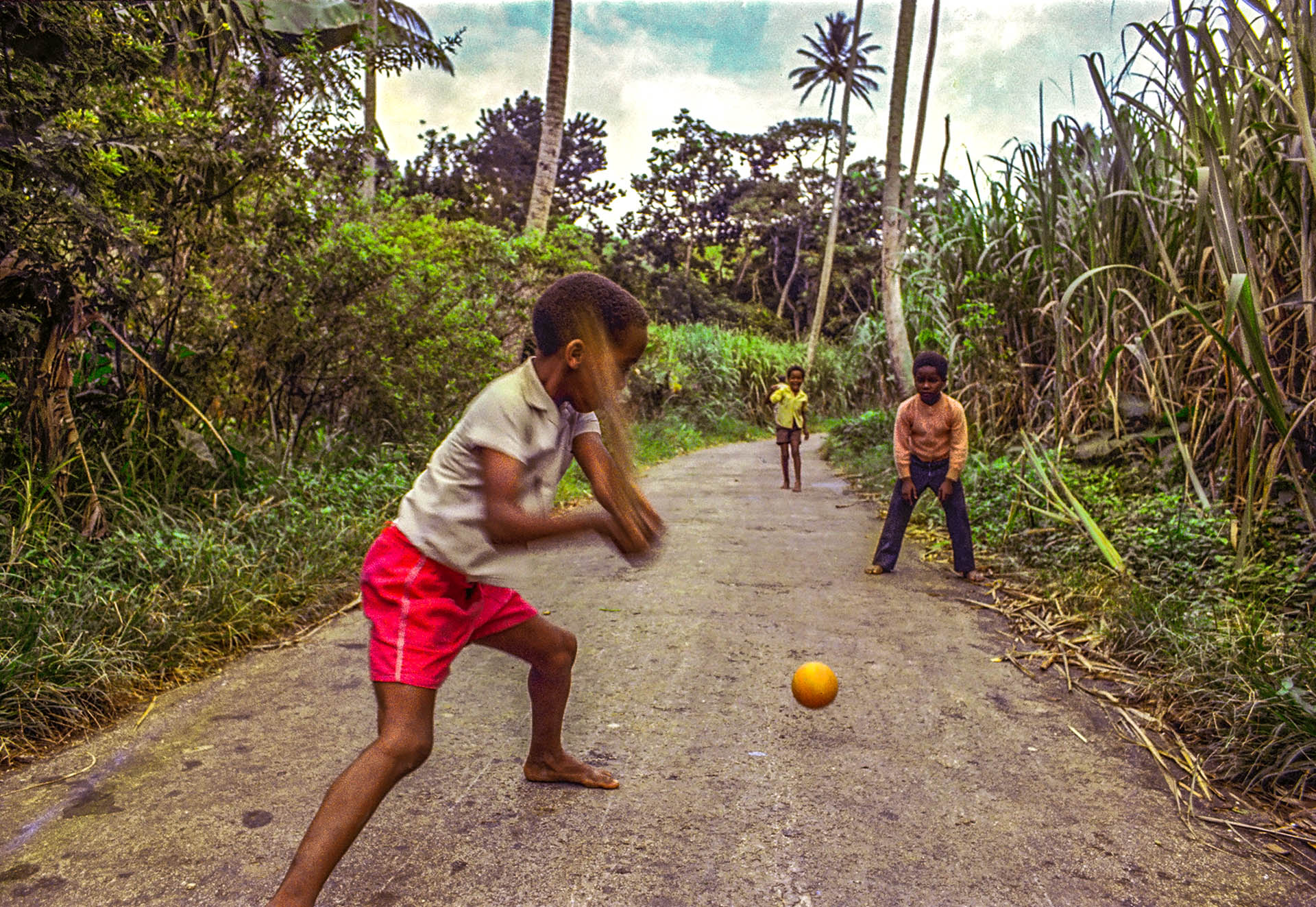 Street Cricket in Sugar Hill