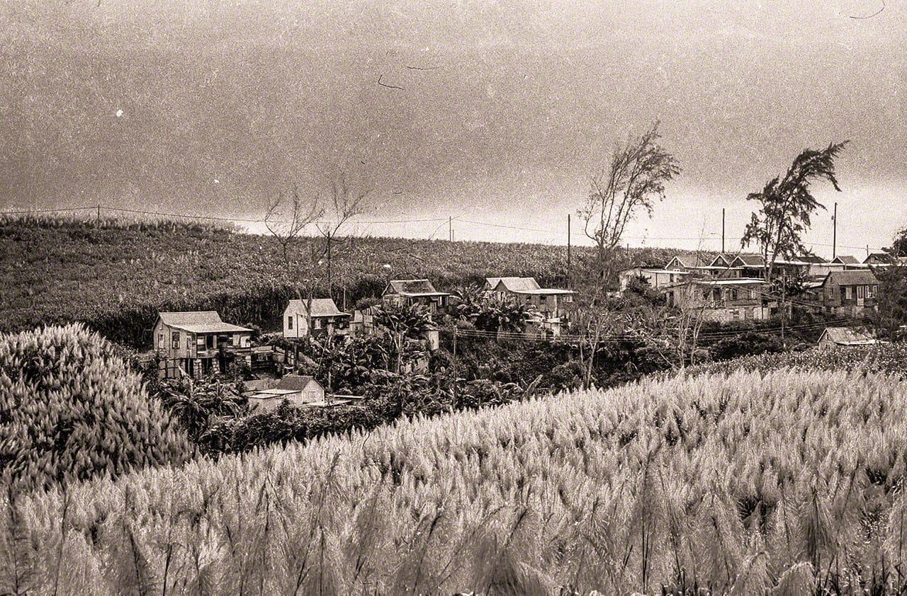 n6 1974 01