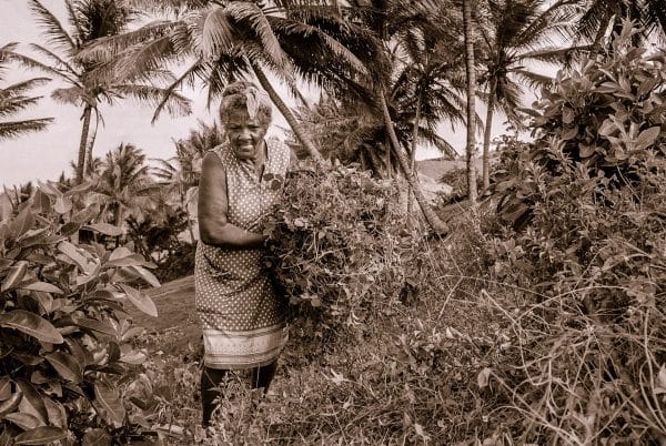 Home Cures of Barbados
