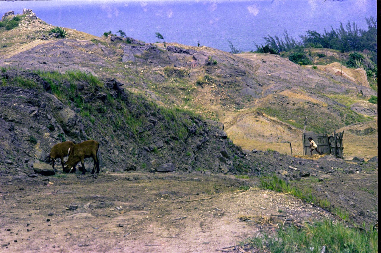mp09 721212 06