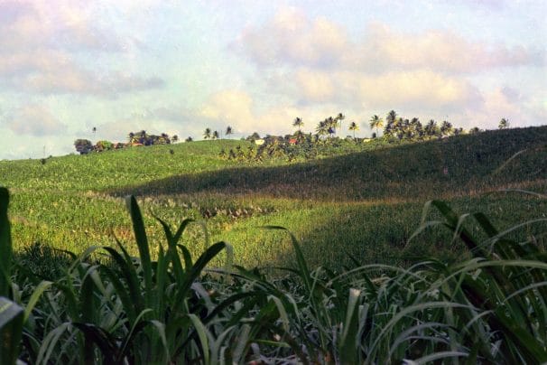 mp17-721222-05 Sugar Hill, St Joseph